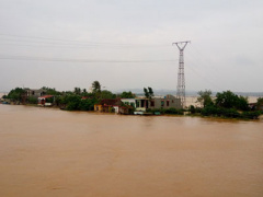 Ảnh bìa bài viết 404758
