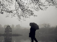 Ảnh bìa bài viết 404590