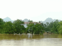 Ảnh bìa bài viết 404947