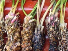 Ảnh bìa bài viết 405695