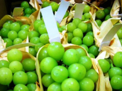 Ảnh bìa bài viết 405871