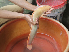 Ảnh bìa bài viết 406014