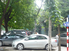 Ảnh bìa bài viết 406352
