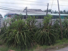 Ảnh bìa bài viết 406588
