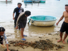 Ảnh bìa bài viết 406426