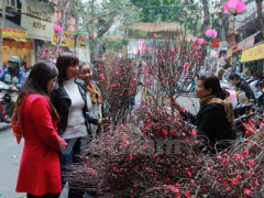 Ảnh bìa bài viết 406847