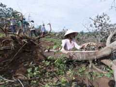 Ảnh bìa bài viết 406783