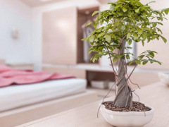 Ảnh bìa bài viết 407384