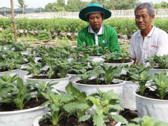 Ảnh bìa bài viết 407530