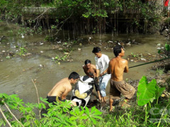 Ảnh bìa bài viết 407767