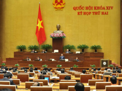 Ảnh bìa bài viết 408113