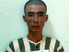 Ảnh bìa bài viết 408546