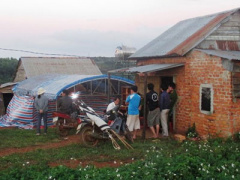 Ảnh bìa bài viết 408985