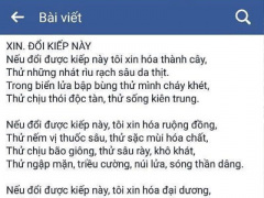 Ảnh bìa bài viết 408796