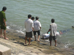 Ảnh bìa bài viết 409259