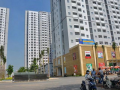 Ảnh bìa bài viết 409126