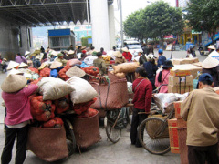 Ảnh bìa bài viết 409247