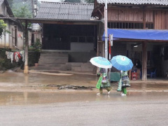 Ảnh bìa bài viết 409085