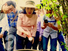 Ảnh bìa bài viết 409427