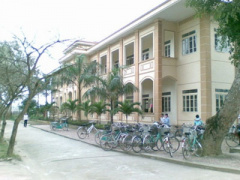 Ảnh bìa bài viết 409436