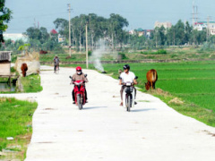 Ảnh bìa bài viết 409493