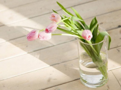 Ảnh bìa bài viết 409472