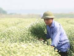 Ảnh bìa bài viết 409907