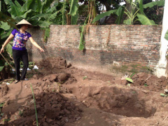 Ảnh bìa bài viết 409926