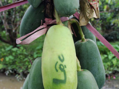 Ảnh bìa bài viết 410357