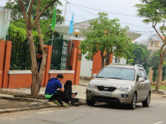 Ảnh bìa bài viết 410728