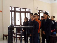 Ảnh bìa bài viết 410907