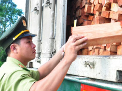 Ảnh bìa bài viết 410821