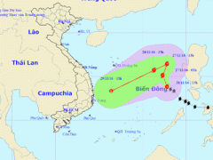 Ảnh bìa bài viết 411208