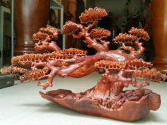 Ảnh bìa bài viết 411093