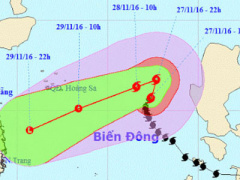 Ảnh bìa bài viết 411353