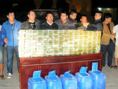 Ảnh bìa bài viết 411370