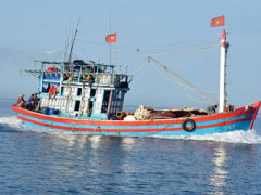 Ảnh bìa bài viết 411355
