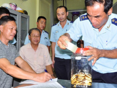 Ảnh bìa bài viết 411364