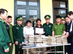 Ảnh bìa bài viết 411412