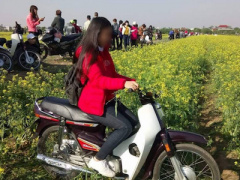 Ảnh bìa bài viết 411699