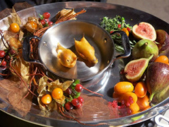 Ảnh bìa bài viết 411667