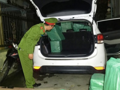 Ảnh bìa bài viết 411428
