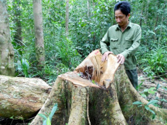 Ảnh bìa bài viết 411884