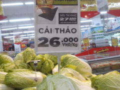 Ảnh bìa bài viết 412126
