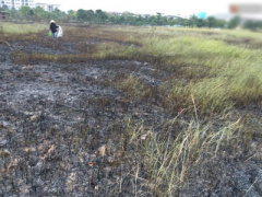 Ảnh bìa bài viết 412114