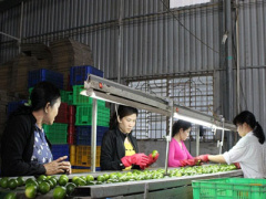 Ảnh bìa bài viết 412186