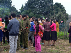Ảnh bìa bài viết 412333