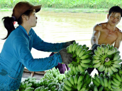 Ảnh bìa bài viết 412670