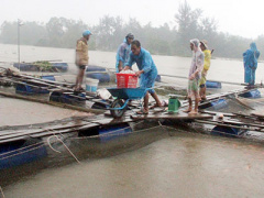 Ảnh bìa bài viết 412621