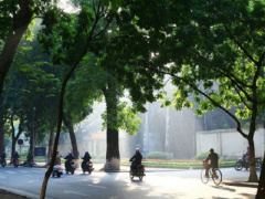Ảnh bìa bài viết 412836